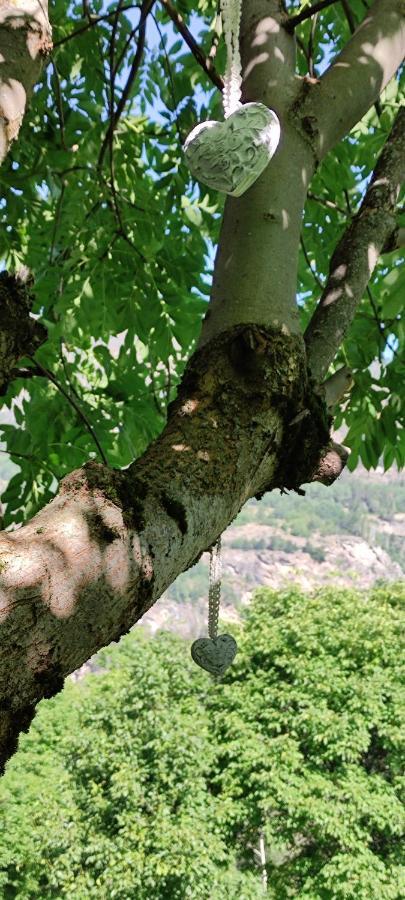 La Casetta Di Lele E Schina Arvier Εξωτερικό φωτογραφία
